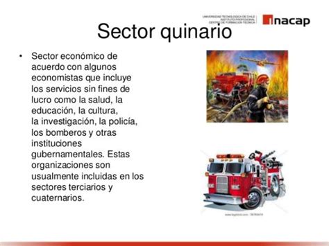 Sector QUINARIO ejemplos y características RESUMEN