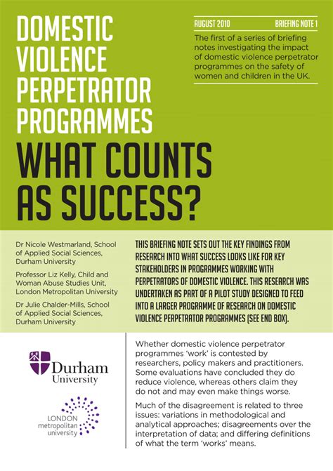 Pdf Domestic Violence Perpetrator Programmes What Counts As Success