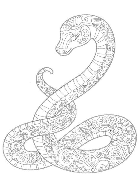 Dibujos De Serpiente Para Colorear E Imprimir ColoringOnly