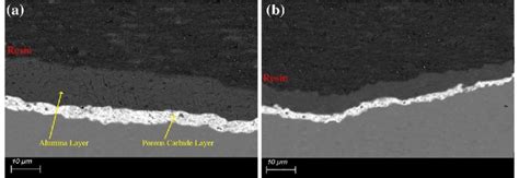 Higher Magnification Cross Sectional Sem Images A M1 And B M3 Samples