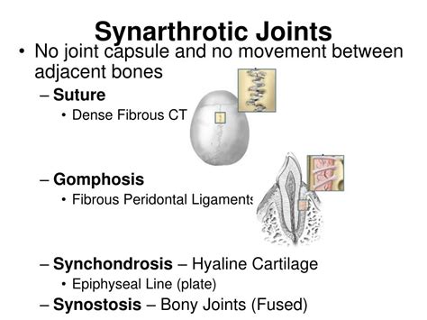 Ppt General Arthrology Powerpoint Presentation Free Download Id