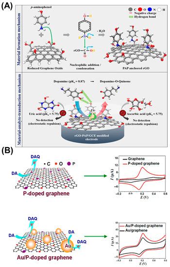 Chemosensors Free Full Text Nanocomposite Based Electrochemical