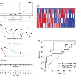 Correlation Between The Cuproptosisrelated Lncrna Signature And The