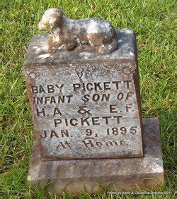 Baby Pickett 1895 1895 Find A Grave Memorial