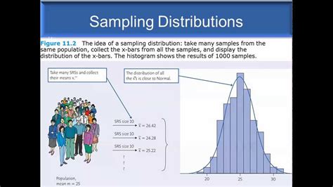 Sampling Distribution And Estimation