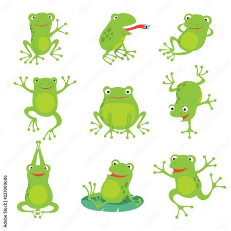 Toad Animal Drawing
