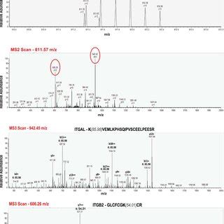 Representative Ms Spectra Demonstrating The Ms Based Strategy Of