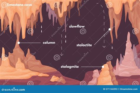 Estalagmite Infográfica Formação De Estalagmites Coluna Estalactite