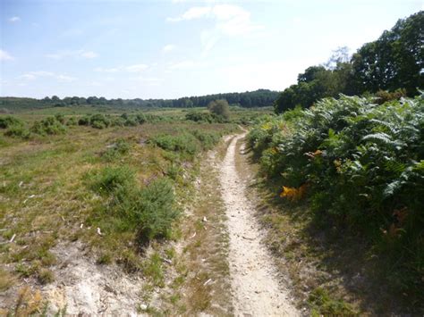 Ditch End Forestry Track Mike Faherty Cc By Sa Geograph