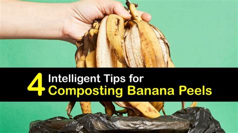 Banana Peels In Your Compost Composting A Banana Peel