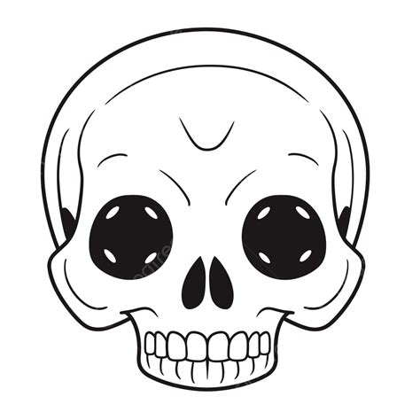 Skull Drawing On A White Background Outline Sketch Vector, Skull ...