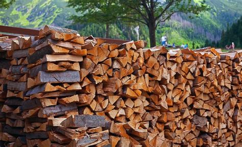 Comment Bien Stocker Votre Bois De Chauffage Kikelleandco Fr