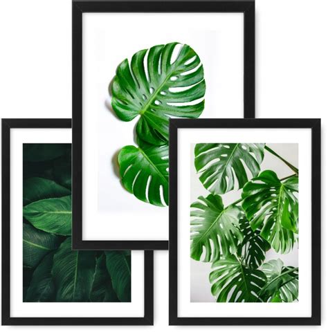 Zestaw 3 Obrazki A3 Plakaty MONSTERA Ramka Ikea Cena Opinie