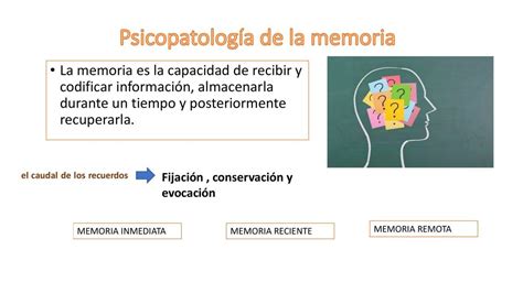 Psicopatolog A De La Memoria Mm Udocz