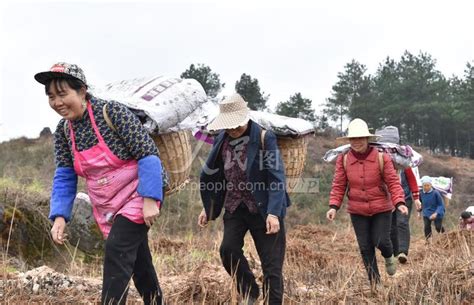 贵州松桃：党员干部助农忙 人民图片网