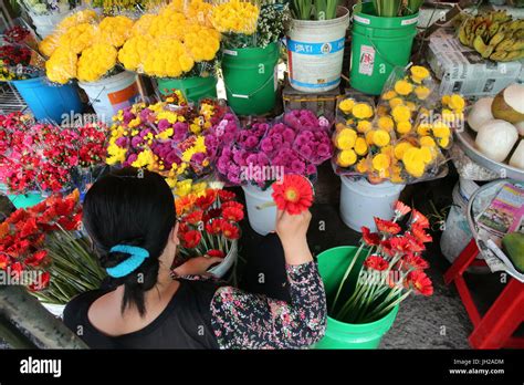 Market Flowers Vietnam Vietnam Stock Photo Alamy