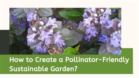 How To Create A Pollinator Friendly Sustainable Garden Petit Garden