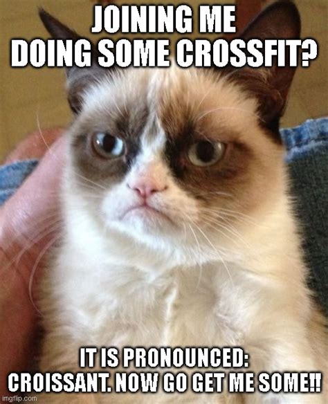 Grumpy Cat Meme Imgflip