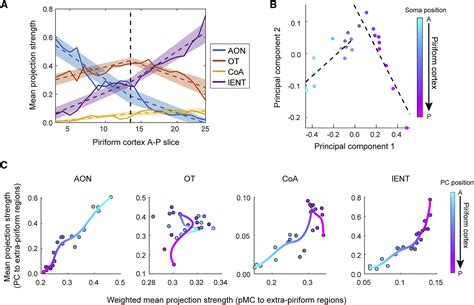 High Throughput Sequencing Of Single Neuron Projections Reveals Spatial