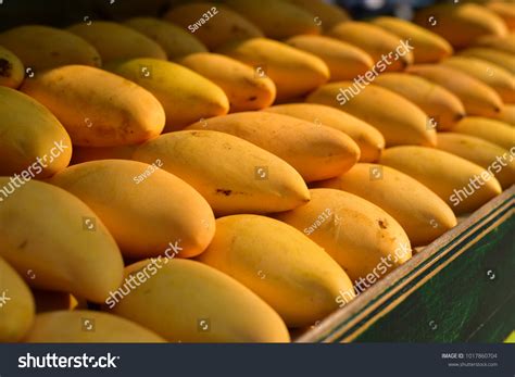 Mangoes Thailand 5 February 2018 Stock Photo 1017860704 Shutterstock