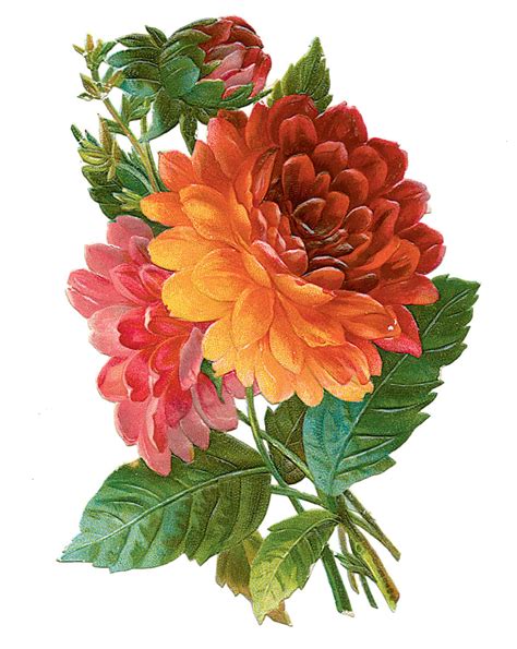 Vintage Feed Shack | Flower painting, Flower art, Flower illustration