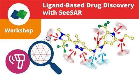 Ligand Based Drug Discovery Seesar 12 Narcissus Youtube