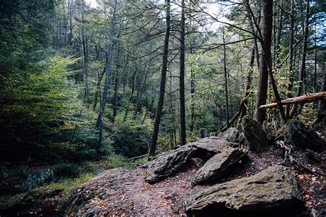 Njdep Stokes State Forest New Jersey State Park Service