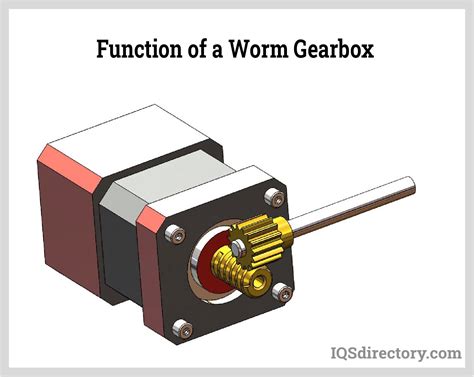 Worm Gear What Is It How Is It Made Types Of Uses