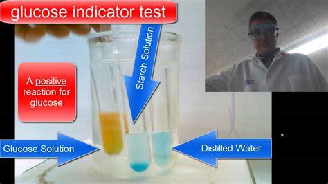 Diffusion Through A Membrane Lab Chemical Indicators Youtube