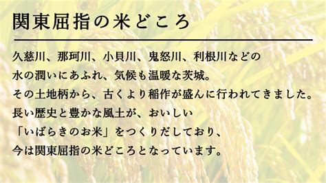 先行予約 】 令和5年産 茨城県産 あきたこまち 精米 20kg 5kg × 4袋 米 こめ コメ 単一米 限定 おすすめ