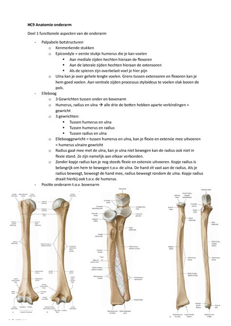 HC9 Anatomie Onderarm College Aantekening 9 HC9 Anatomie Onderarm