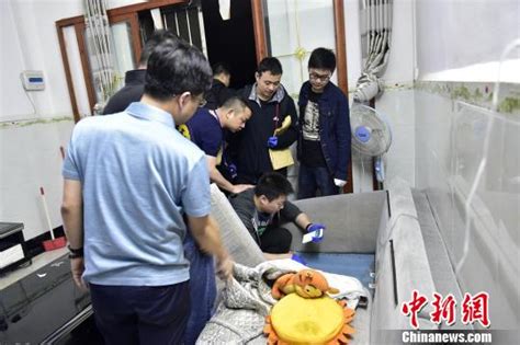 南京破获特大网络传播淫秽视频案：查2万部视频 搜狐新闻