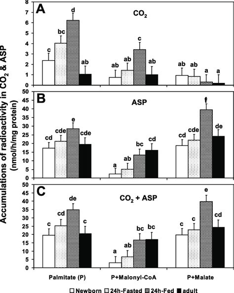 Effects Of Malonyl Coa And Malate On Hepatic Mitochondrial Oxidation