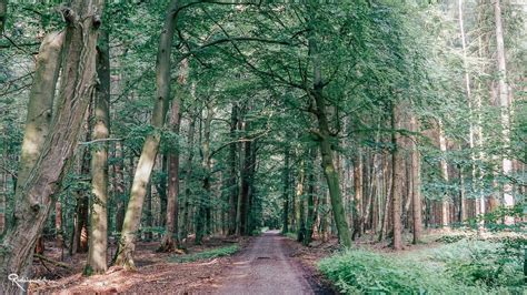 Holy Gravel 2020 Bikepacking Im Team Teil 1 Radelmaedchen