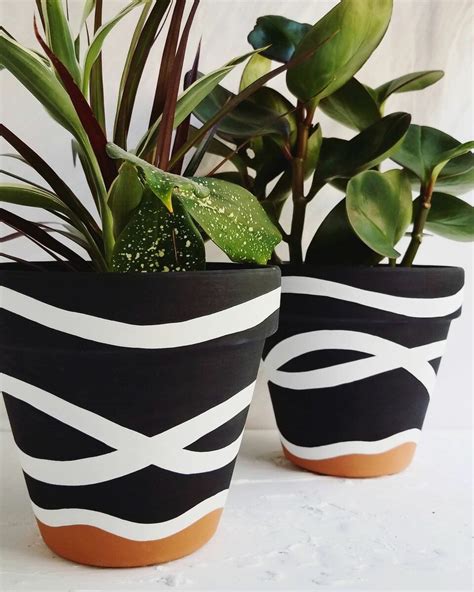 Creative Ceramic Pot Paint Ideas To Elevate Your Garden Décor Get