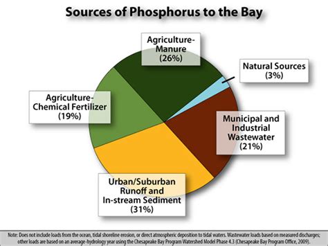 Question of the Week: What Are the Main Sources of Pollution to the Bay ...