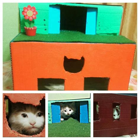 Diy Casita Para Gatos Esta Echa De Cartón Simplemente Son Dos Cajas