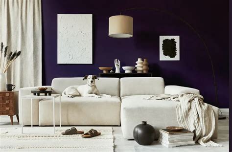 Benjamin Moore Exotic Purple Real Pictures