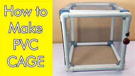 Pvc Pipe Cage Diy Cage Do It Yourself Pvc Pipe Projects Pvc Cage Diy Amazing Cage