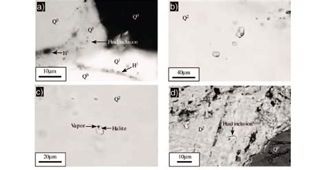 Photomicrographs Of Typical Fluid Inclusions Hosted In Q 1 Quartz Over