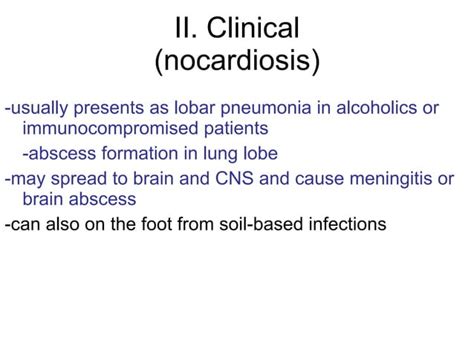 Actinomyces. lecture slides