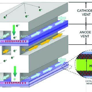 Diagram Of The Proton Exchange Membrane Fuel Cell Structure And