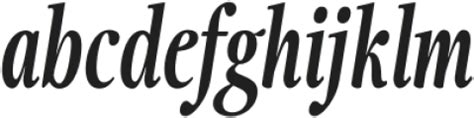 Fionas ExtraBold Italic Otf 700 Font Serif Classic What Font Is