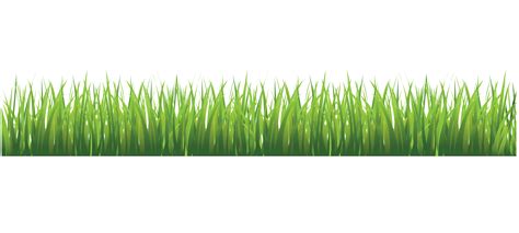 Grass Field Png