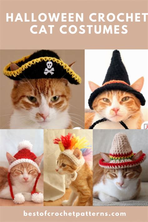 Crochet Halloween Pet Costume Crochet Patterns Tips And Designers