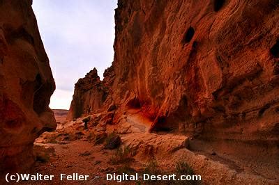 Geology of Mojave Preserve