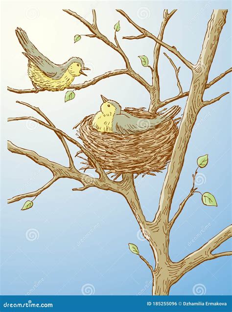 Vector Illustration Of Two Birds In Their Nest In Spring Forest Stock