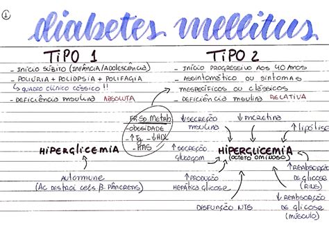 AtençÃo BÁsica I Resumo Diabetes Mellitus Maria Eduarda Toreto