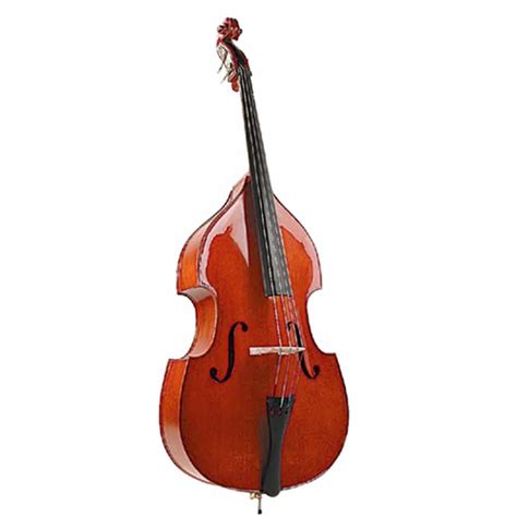 Upright Acoustic Double Bass Solid Top 3 4 Size Dm Audio Ltd