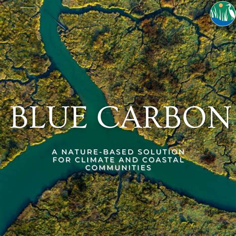 Blue Carbon A Nature Based Solution For Climate And Coastal Communities Restore America S